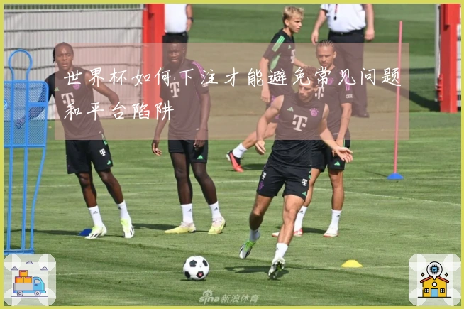 世界杯如何下注才能避免常见问题和平台陷阱
