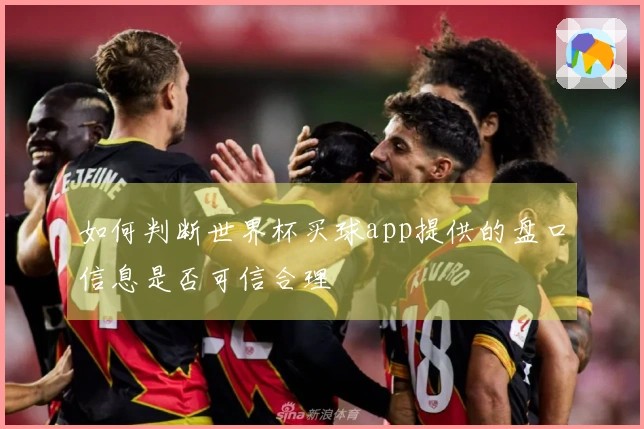 如何判断世界杯买球app提供的盘口信息是否可信合理
