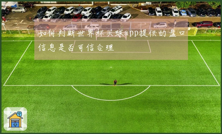 如何判断世界杯买球app提供的盘口信息是否可信合理