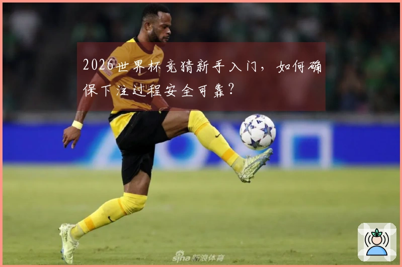 2026世界杯竞猜新手入门，如何确保下注过程安全可靠？